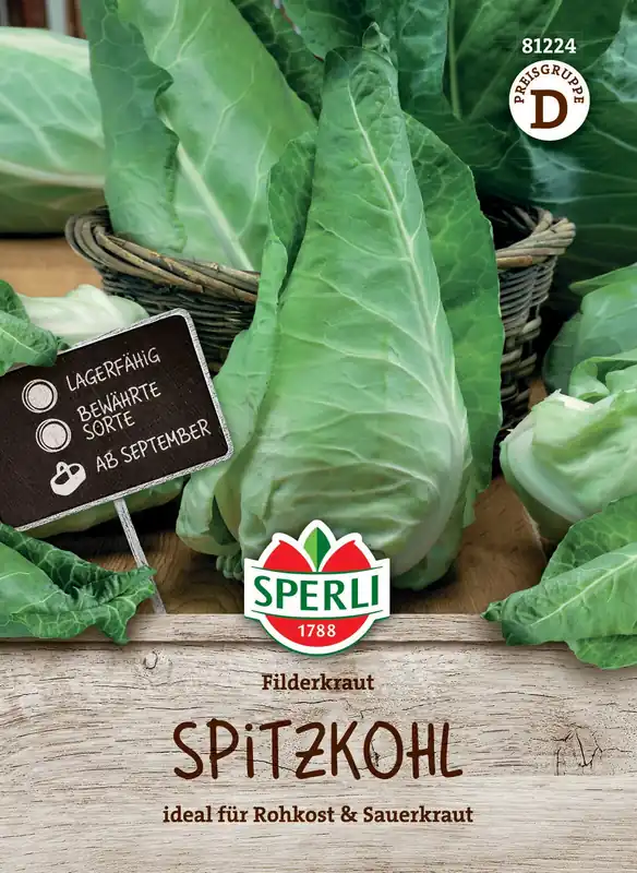 Weißkohl Filderkraut | Weißkohlsamen von Sperli Top-Preis