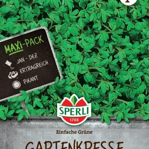 Abverkauf Gartenkresse Grüne einfache (MaxiPack 50g) | Kressesamen von Sperli [MHD 01/2026]