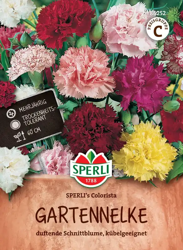 Gartennelke SPERLI's Colorista von Sperli-Samen Wochenendangebot