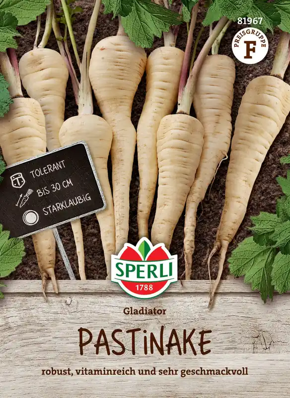 Pastinake Gladiator F1-Hybride | Pastinakensamen von Sperli Markenware