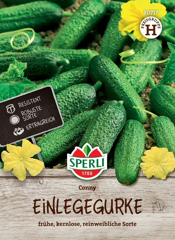 Saisonangebot Einlegegurke Conny F1-Hybride (verb. Bimbostar) | Gurkensamen von Sperli
