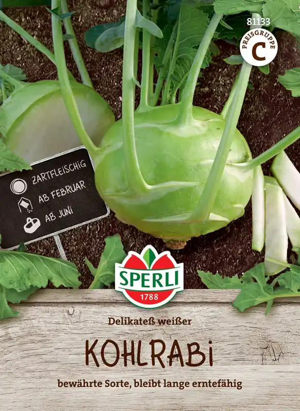Ausverkauf Kohlrabi Delikateß weißer | Kohlrabisamen von Sperli