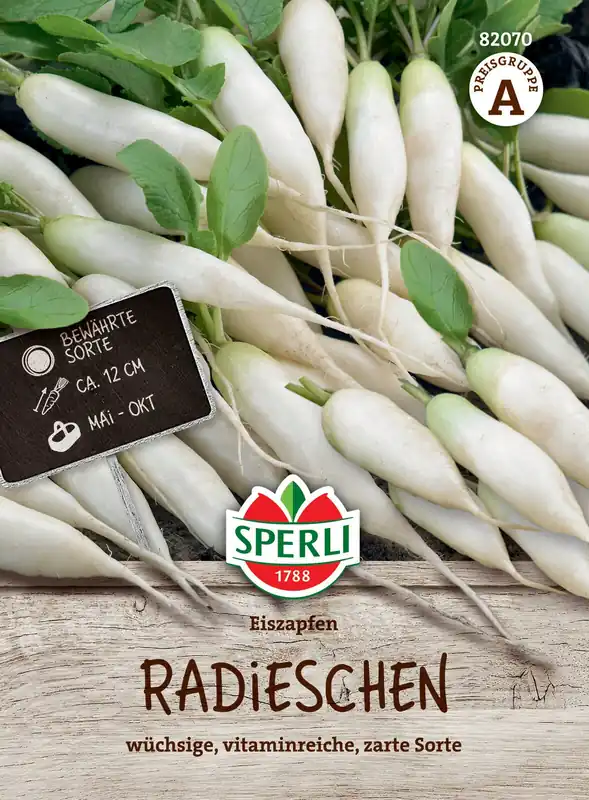 Versand Am Gleichen Tag Radies Eiszapfen | Radieschensamen von Sperli