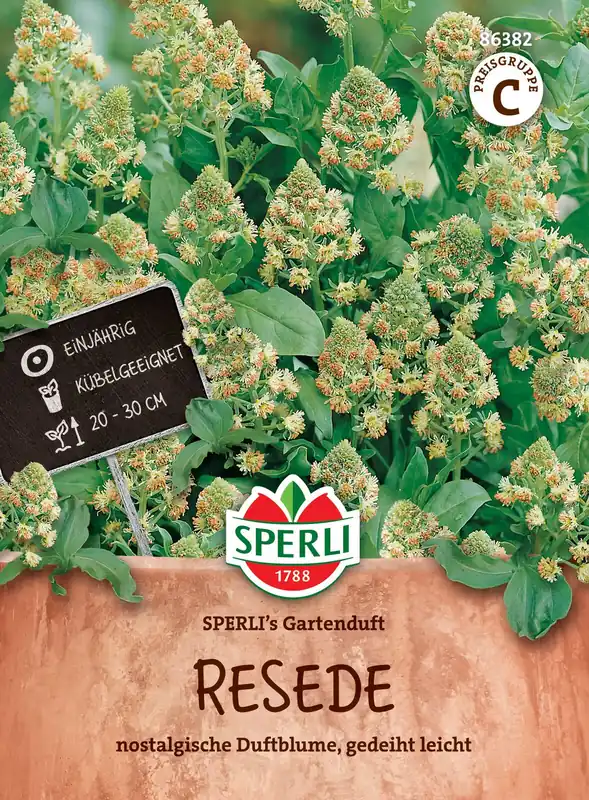 Resede von Sperli-Samen Zertifiziert