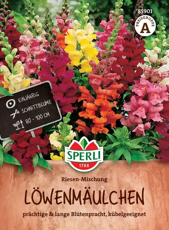 Löwenmaul Riesen Mischung | Löwenmaulsamen von Sperli Echt