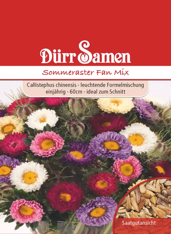 Knallerangebot Sommeraster Fan Mix | Sommerasternsamen von Dürr Samen