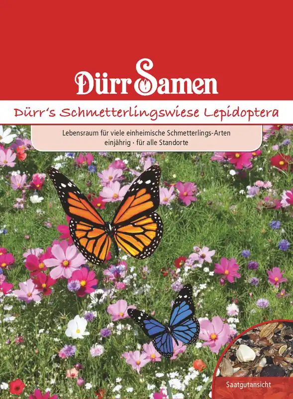 Schmetterlingswiese | Blumensamen von Dürr Samen Rabatt