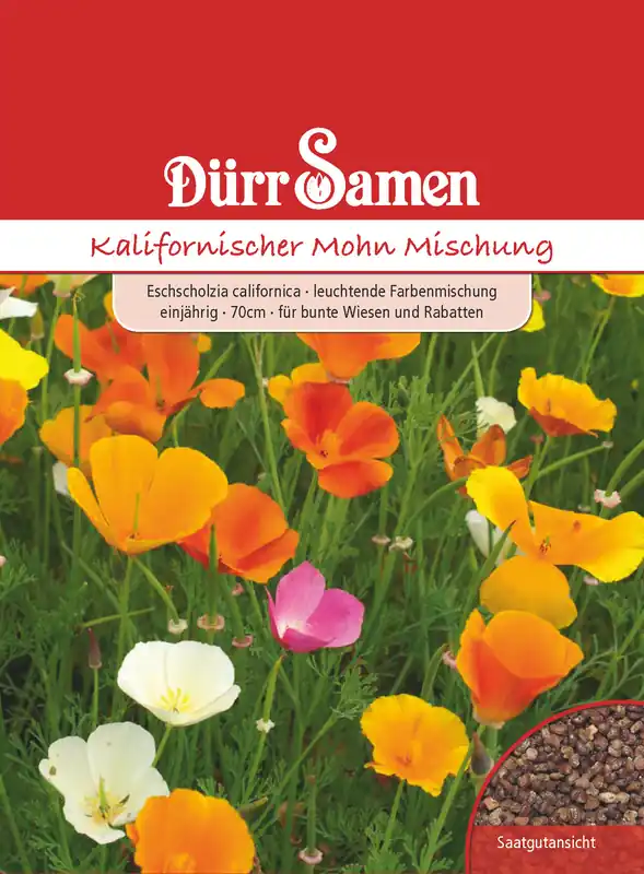 Kalifornischer Mohn Mischung | Mohnsamen von Dürr Samen Super-Preis