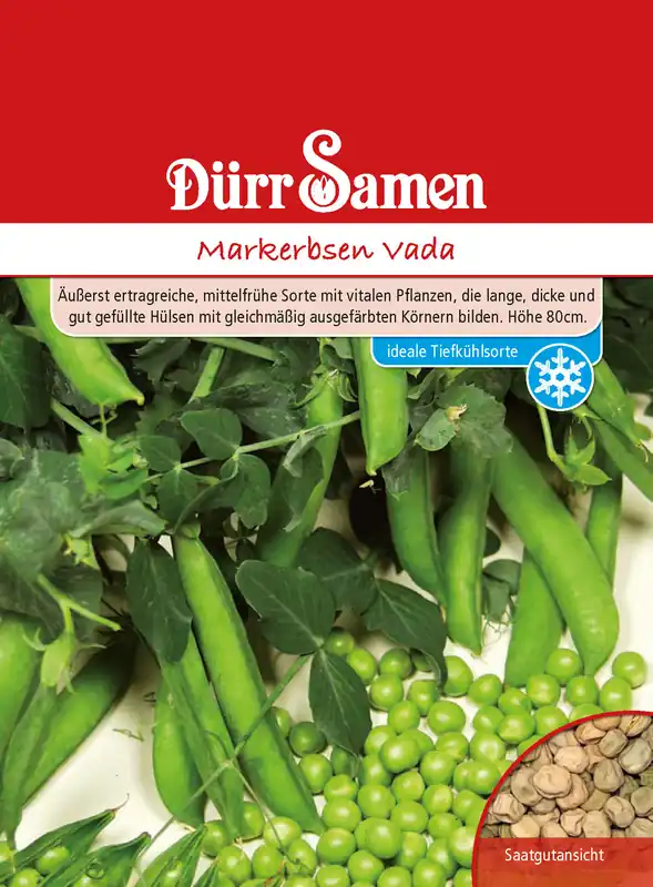 Kracherpreis Markerbse Vada | Markerbsensamen von Dürr Samen