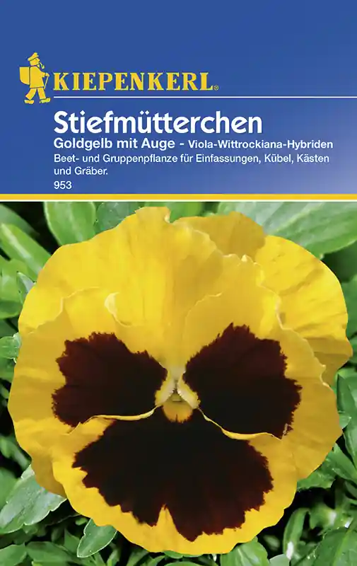 Bestpreis Stiefmütterchen Goldgelb mit Auge | Stiefmütterchensamen von Kiepenkerl