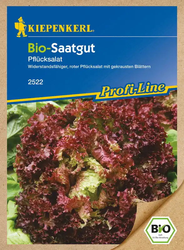 Wochenendangebot BIO Pflücksalat Lollo Rossa | Pflücksalatsamen von Kiepenkerl