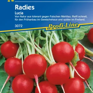 Ausverkauf Radies Lucia F1 | Radieschensamen von Kiepenkerl [MHD 01/2025]