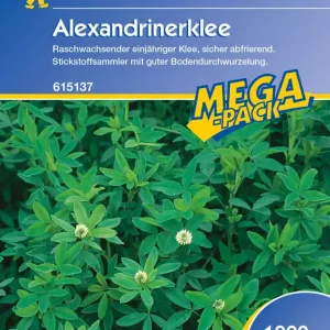 Aktuell Alexandrinerklee (1 kg) | Gründünger von Kiepenkerl