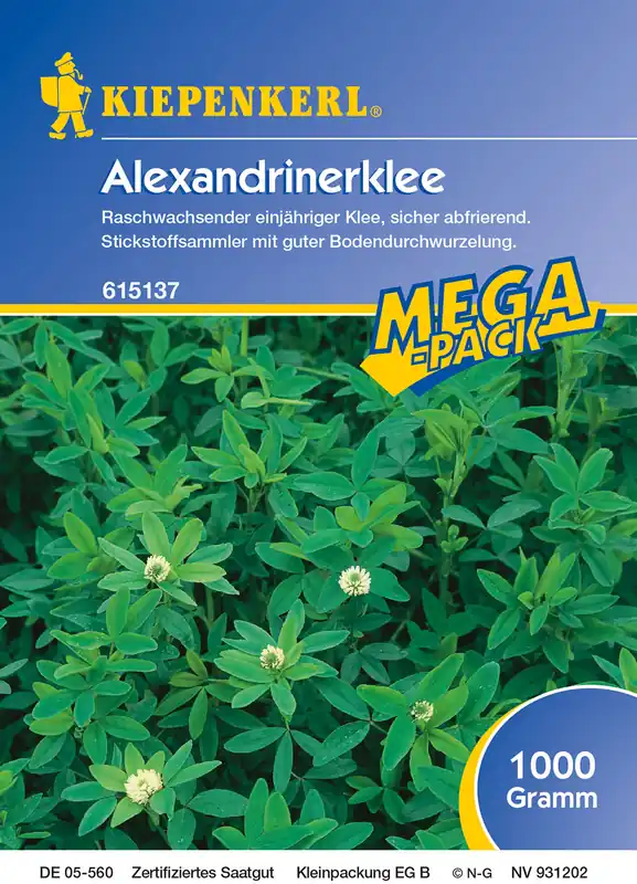 Aktuell Alexandrinerklee (1 kg) | Gründünger von Kiepenkerl