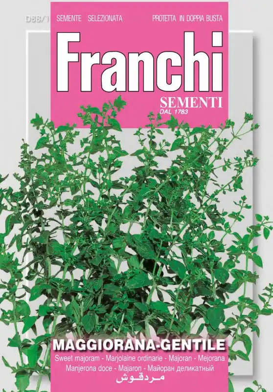 Sofort Bestellen Majoran Gentile | Majoransamen von Franchi Sementi