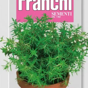 Bohnenkraut Einjährig | Kräutersamen von Franchi Sementi [MHD 06/2025] Jetzt Bestellen