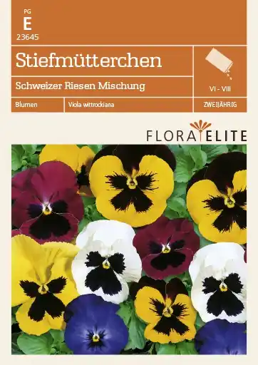 Kracherpreis Stiefmütterchen Schweizer Riesen Mischung von Flora Elite