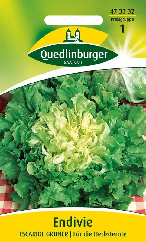 Aktuell Endivie Escariol grüner | Endiviensalatsamen von Quedlinburger