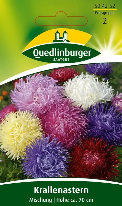 Krallenaster Mischung | Asternsamen von Quedlinburger Kracherpreis
