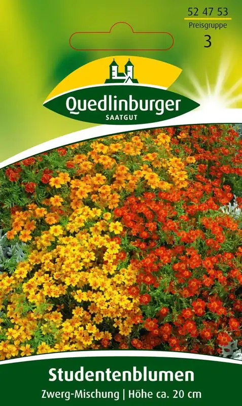 Abverkauf Studentenblume Zwerg-Mischung | Blumensamen von Quedlinburger