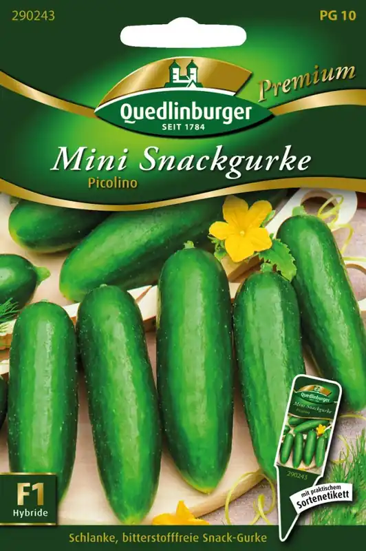 Mini-Snackgurken Picolino F1 | Minigurkensamen von Quedlinburger Abverkauf