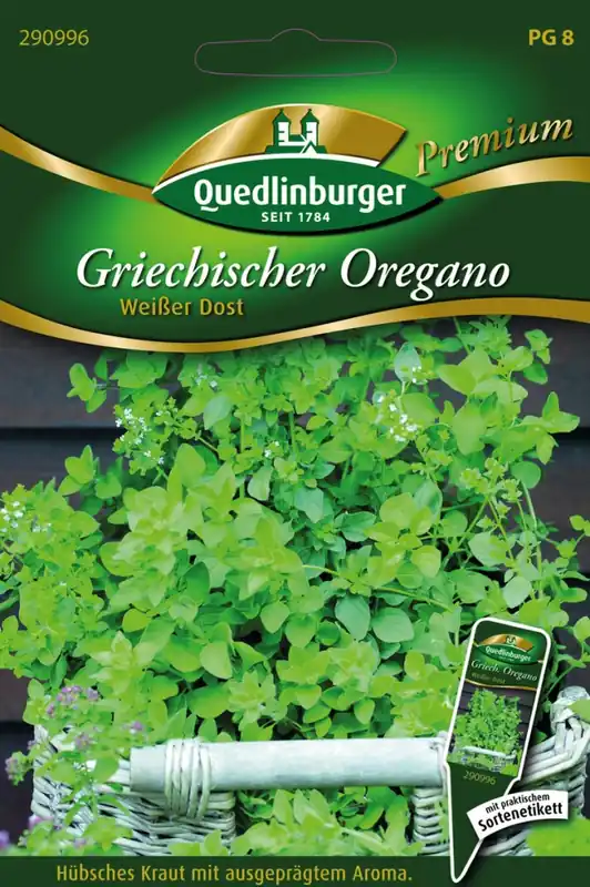Gratis Versand Griechischer Oregano Weißer Dost | Oreganosamen von Quedlinburger
