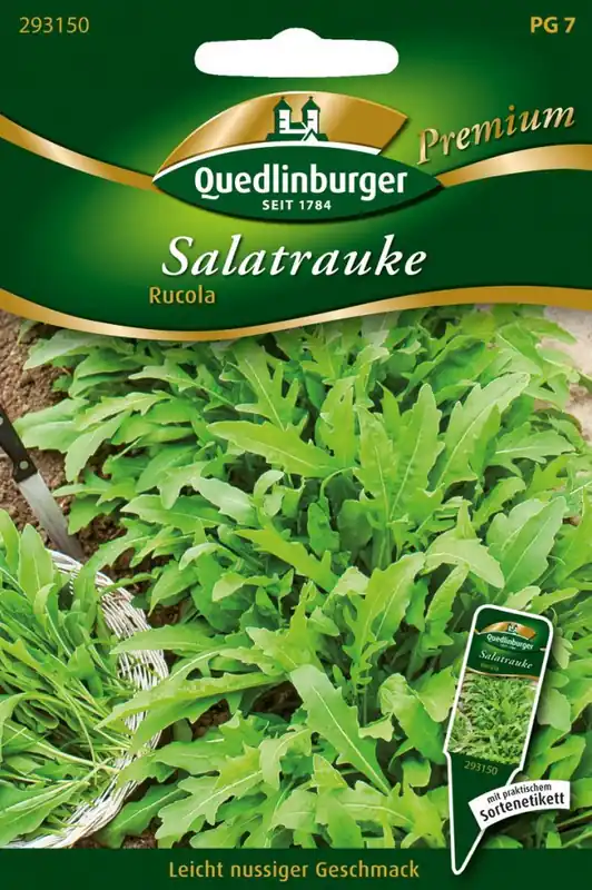 Salatrauke | Raukesamen von Quedlinburger Rabatt