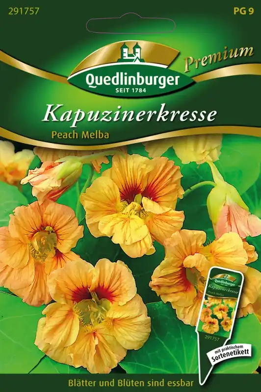 Direktkauf Kapuzinerkresse Peach Melba | Kapuzinerkressesamen von Quedlinburger