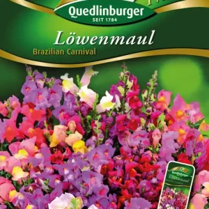 Aktuell Löwenmaul Brazilian Carnival | Blumensamen von Quedlinburger