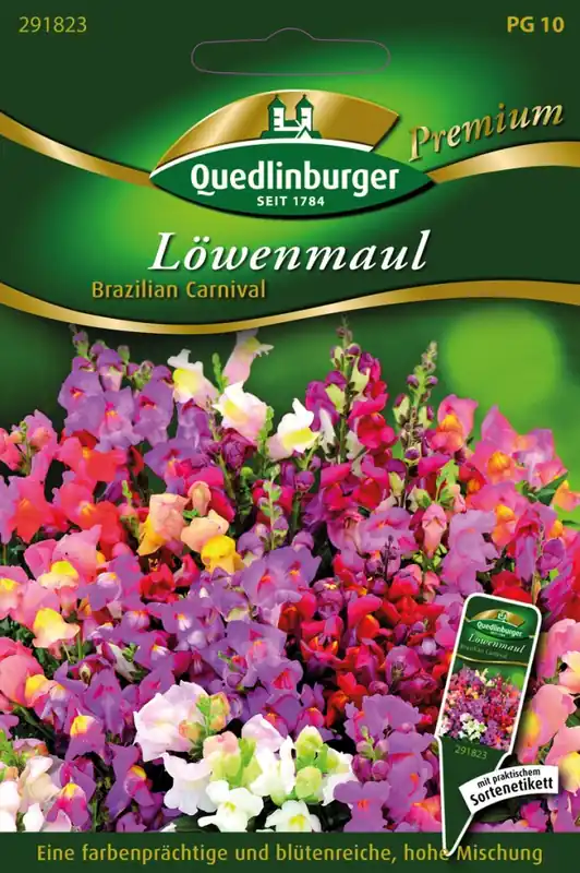 Aktuell Löwenmaul Brazilian Carnival | Blumensamen von Quedlinburger