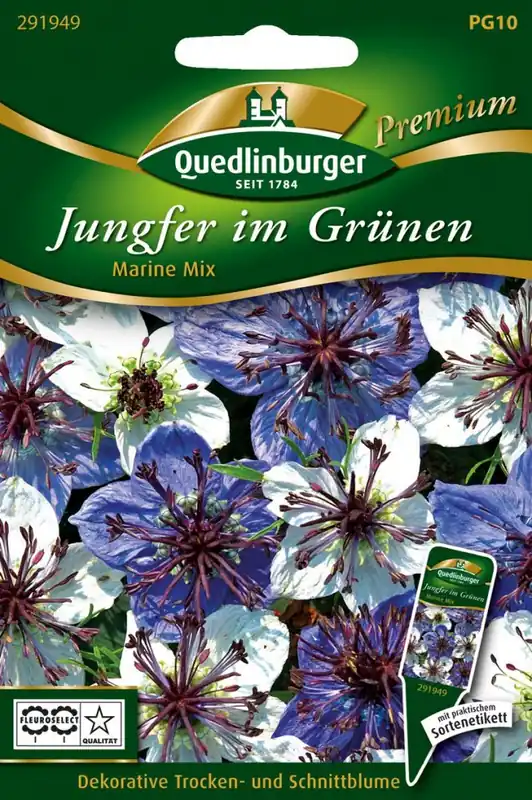 Neue Kollektion Jungfer im Grünen Marine Mischung | Jungfer im Grünen Samen von Quedlinburger