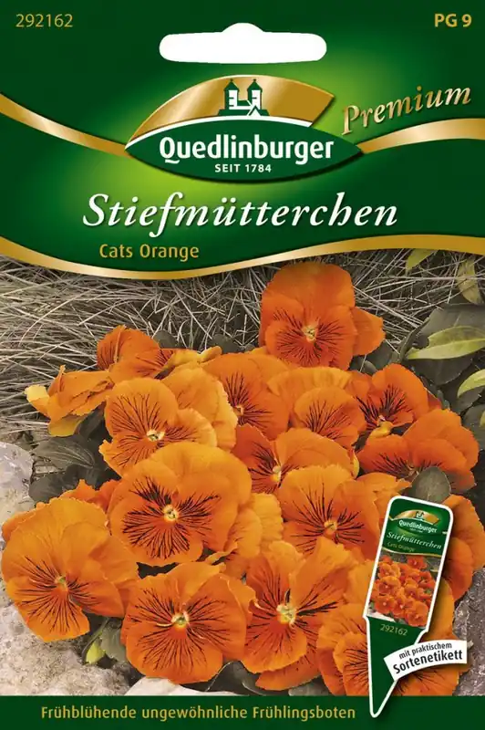 Stiefmütterchen Cats orange | Stiefmütterchensamen von Quedlinburger Angebot