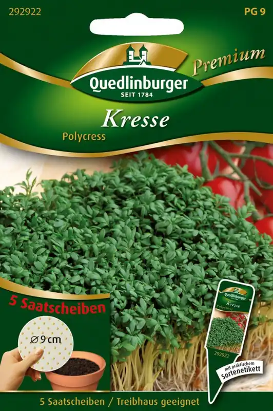 Rabatt Kresse Polycress | Kressesamen von Quedlinburger