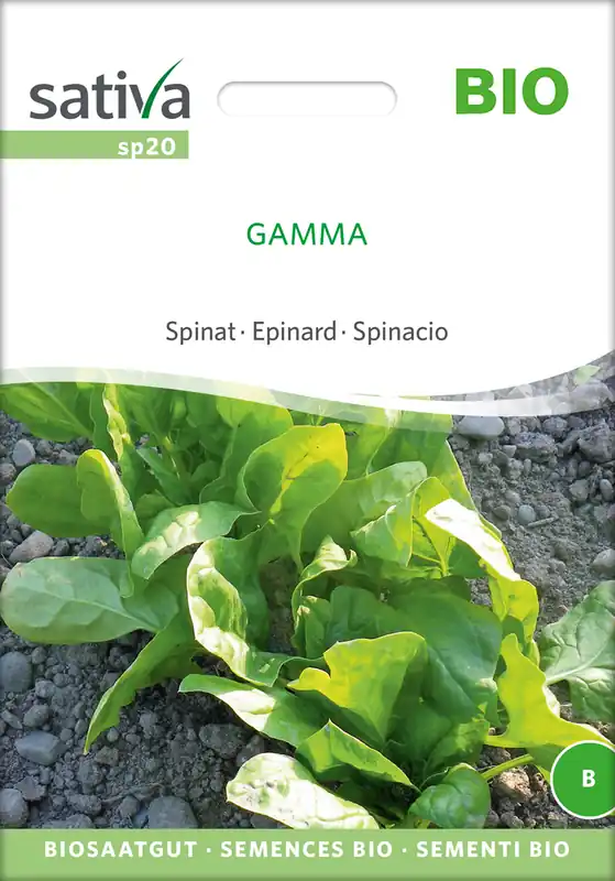 Spinat Gamma | BIO Spinatsamen von Sativa Rheinau Expressversand