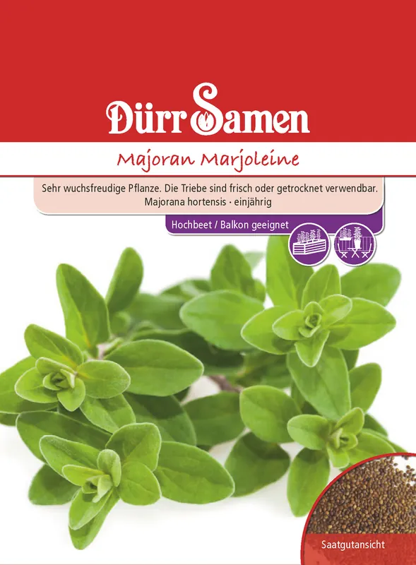 Saisonangebot Majoran Marjoleine | Majoransamen von Dürr Samen