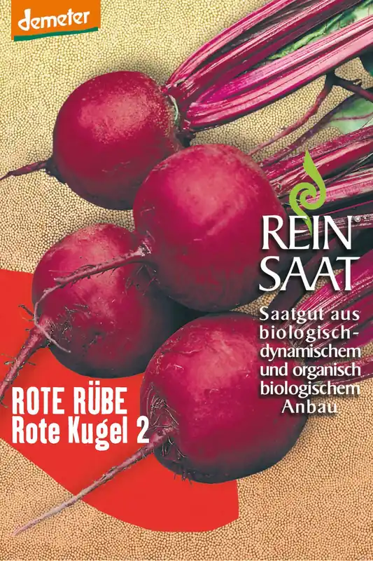 Preiswert Rüben Rote Kugel 2 | BIO Rote Beetesamen von Reinsaat