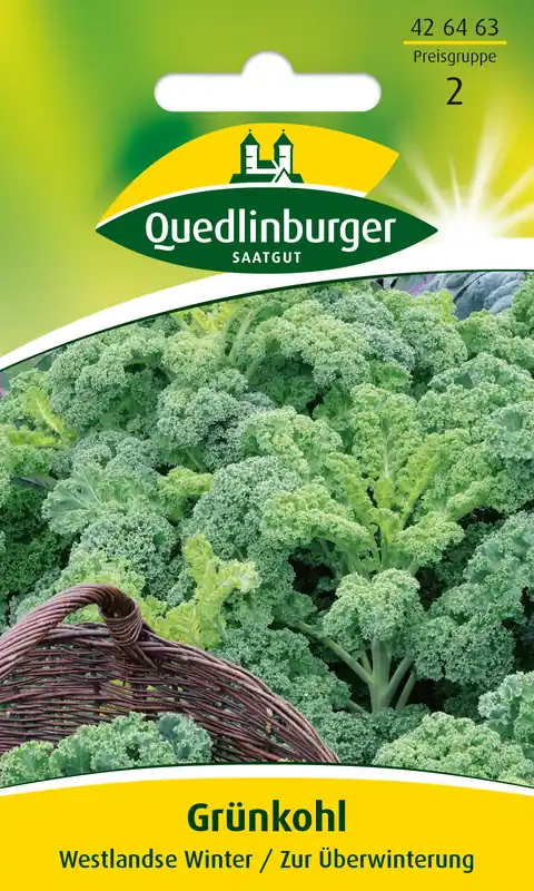 Aktuell Grünkohl Westlandse Winter | Grünkohlsamen von Quedlinburger