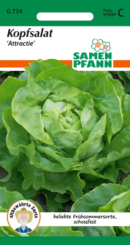Kopfsalat Attractie | Kopfsalatsamen von Samen Pfann Meistverkauft
