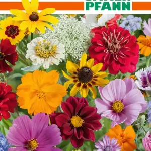 Garantierte Lieferung Sommerblumenmischung | Blumensamenmischung von Samen Pfann