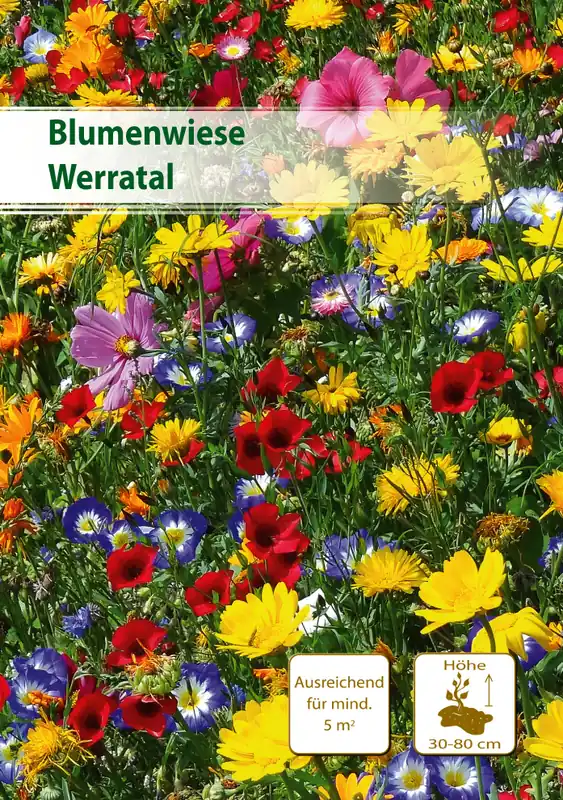 Must-Have Blumenwiese Werratal 5 m² | Blumenmischung von Küpper