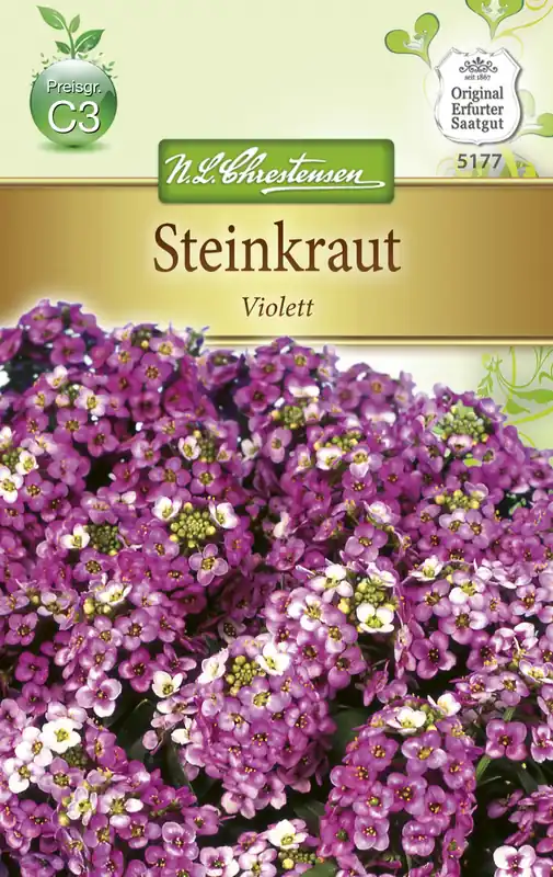 Sichere Zahlung Steinkraut Alyssum Violett | Steinkrautsamen von N.L. Chrestensen