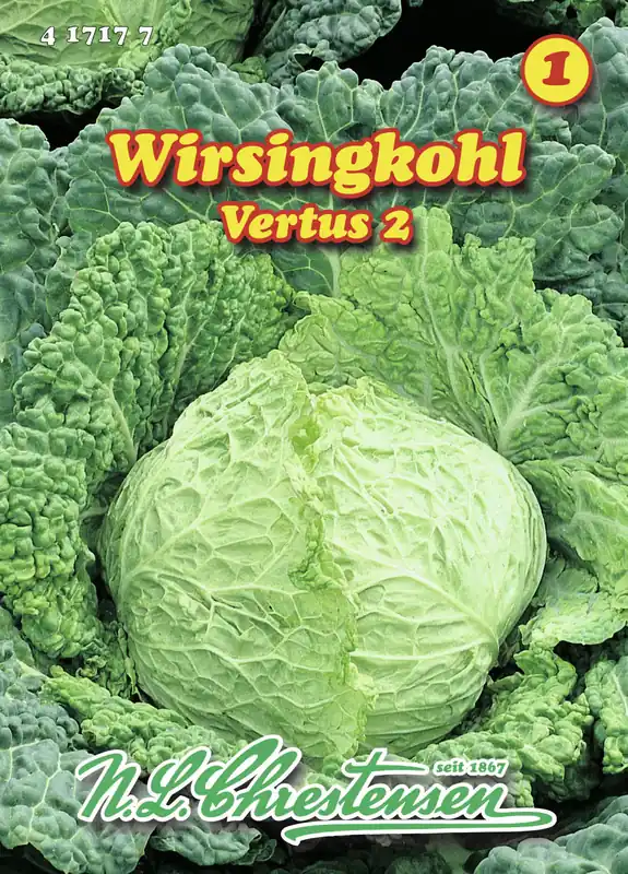Echt Wirsingkohl Vertus 2 | Wirsingsamen von N.L. Chrestensen