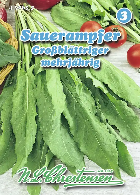 Sauerampfer Großblättriger | Sauerampfersamen von N.L. Chrestensen Mega-Angebot
