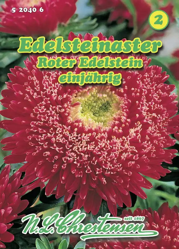 Preisknaller Edelsteinaster Roter Edelstein | Asternsamen von N.L. Chrestensen