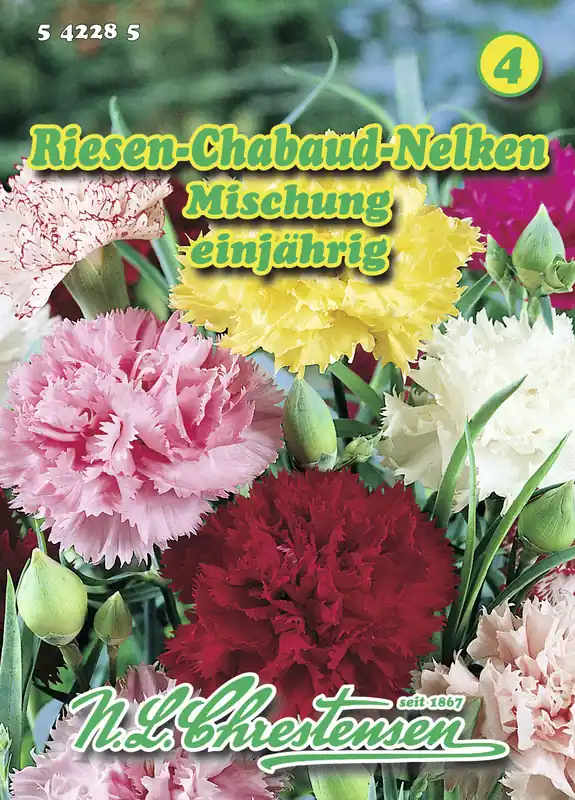 Geprüft Riesen Chabaud Nelke Mischung | Nelkensamen von N.L. Chrestensen