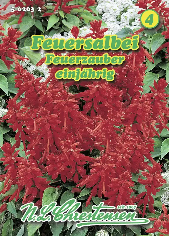 Begrenztes Angebot Feuersalbei Feuerzauber | Salbeisamen von N.L. Chrestensen