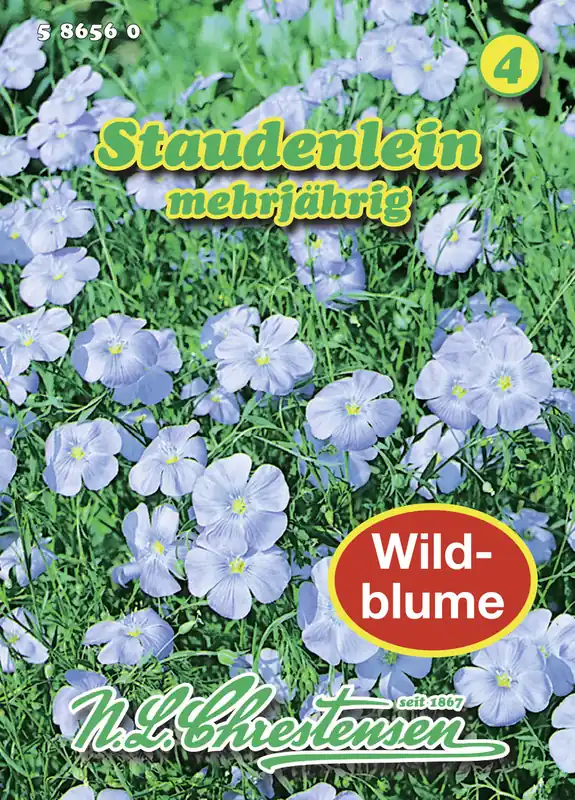 Staudenlein | Blumensamen von N.L. Chrestensen Nur Für Kurze Zeit