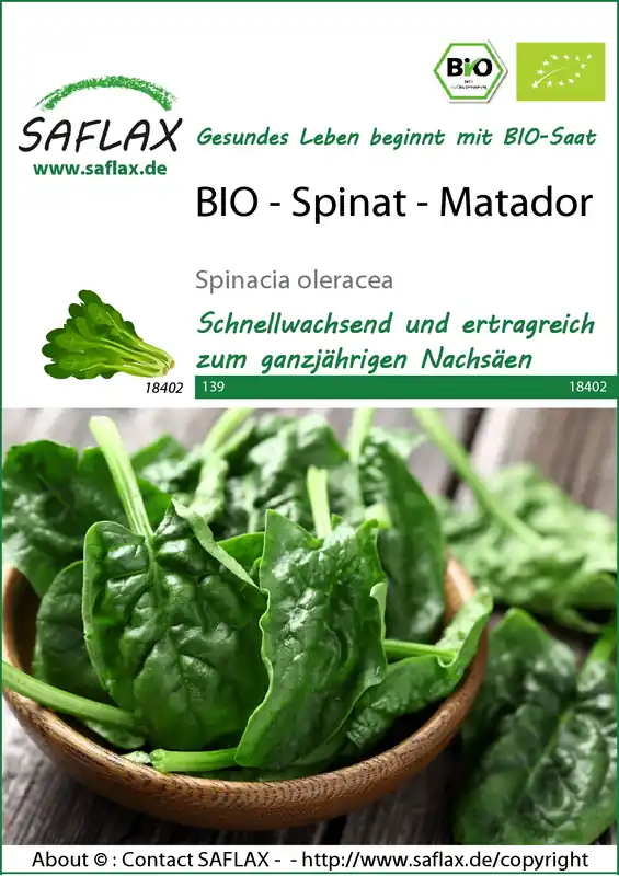 Spinat Matador | BIO Spinatsamen von Saflax Neue Kollektion