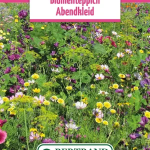 Blumenwiese Abendkleid Einjährig (100 g) | Blumensamen von Bertrand Preisknaller