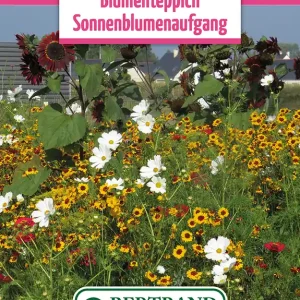 Angebot Blumenwiese Sommerblumen Farbvielfalt (100 g) | Blumensamen von Bertrand